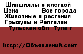 Шиншиллы с клеткой › Цена ­ 8 000 - Все города Животные и растения » Грызуны и Рептилии   . Тульская обл.,Тула г.